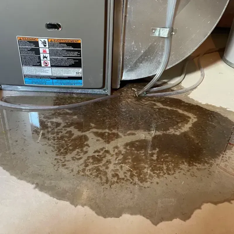 Appliance Leak Cleanup in Lackland Air Force Base, TX